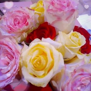 Meet your Posher, Charity